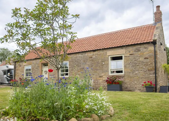 3 Mill 別荘 Ravensworth